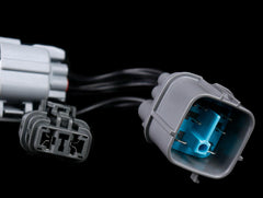 SpeedFactory Racing OBD2 (Vehicle) to OBD1 (Distributor) Conversion Harness.