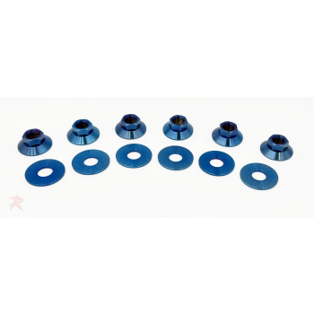 Rampage Titanium Strut Tower Nut Kit – FK8 FK7 FK2 FL5
