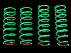 Tein S. Tech Lowering Springs - Tesla Model 3.