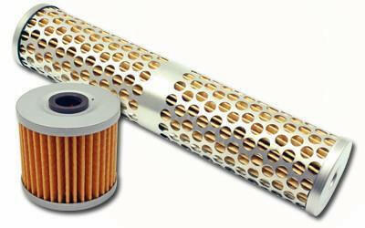 AEM Replacement Elements for AEM Fuel Filters (25-202/25-203).