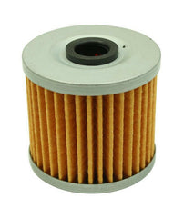 AEM Replacement Elements for AEM Fuel Filters (25-202/25-203).