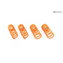 ARK GT-F Lowering Springs | 2003-2008 Nissan 350Z Z33 (LF0900-0300).