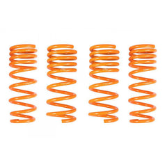 ARK GT-F Lowering Springs | 2003-2008 Nissan 350Z Z33 (LF0900-0300).
