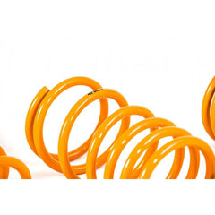 ARK GT-F Lowering Springs | 2013-2021 BRZ/FR-S/86 (LF1202-0113).