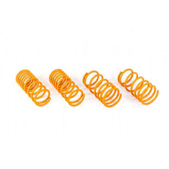 ARK GT-F Lowering Springs | 2013-2021 BRZ/FR-S/86 (LF1202-0113).