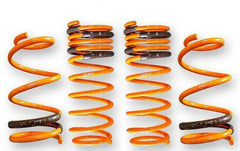 ARK GT-F Lowering Springs | 2008-2011 Mitsubishi Evolution X (LF1800-0600).