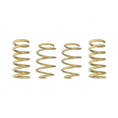 ARK GT-S Lowering Springs | 2015-2021 Ford Mustang (LS0503-0115).