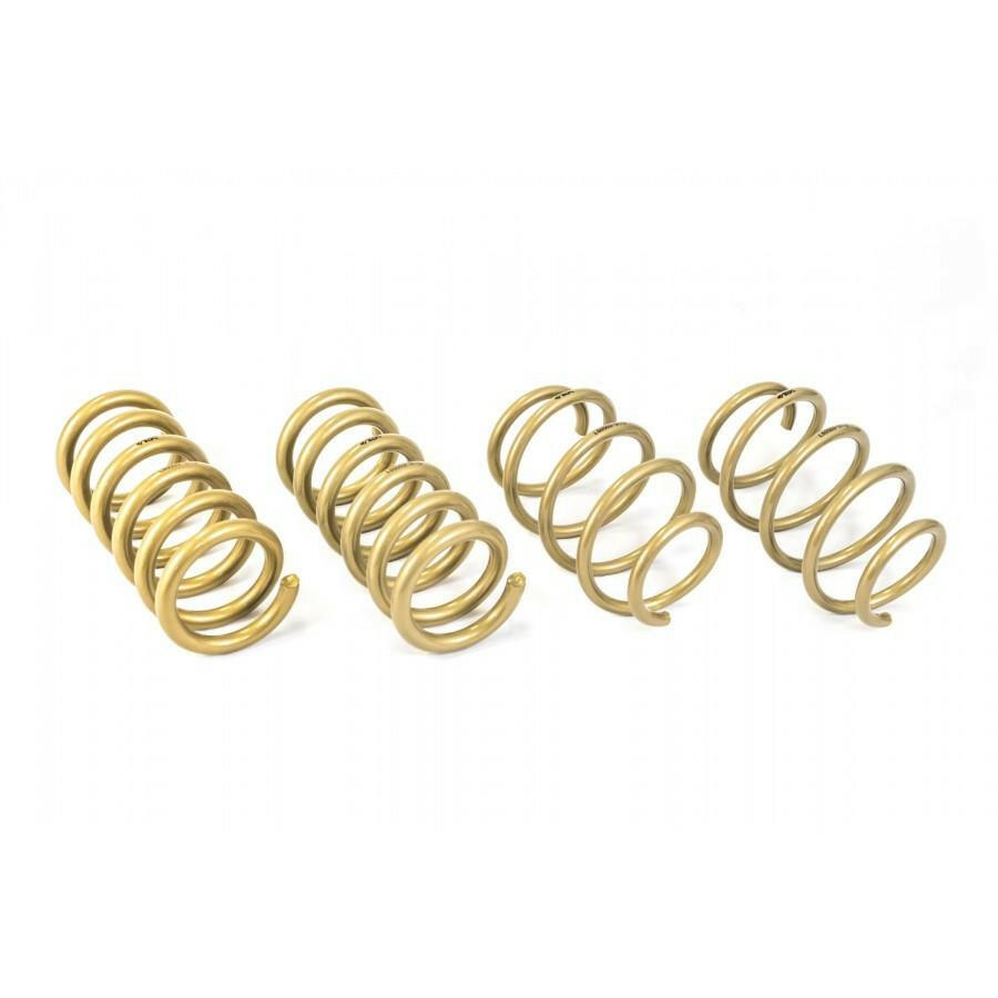 ARK GT-S Lowering Springs | 2015-2021 Ford Mustang (LS0503-0115).