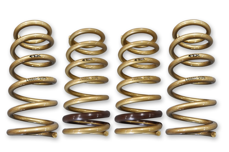 ARK Performance GT-S Lowering Springs | 2000-2009 Honda S2000 (LS0600-0105).