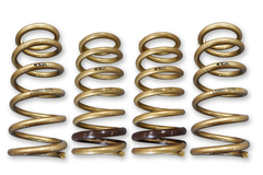 ARK Performance GT-S Lowering Springs | 2000-2009 Honda S2000 (LS0600-0105).