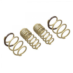 ARK GT-S Lowering Springs | 2016-2021 Honda Civic Coupe/Sedan/Hatch (LS0604-0116).
