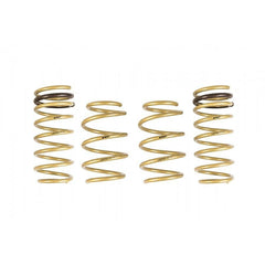ARK GT-S Lowering Springs | 2011-2017 Hyundai Veloster 1.6L (LS0703-0112).