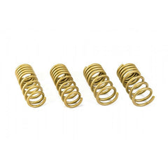 ARK GT-S Lowering Springs | 2009-2021 Nissan 370Z Z34 (LS0901-0209).