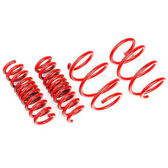 AST Lowering Springs | 2016-2018 Ford Focus RS (ASTLS-17-129).