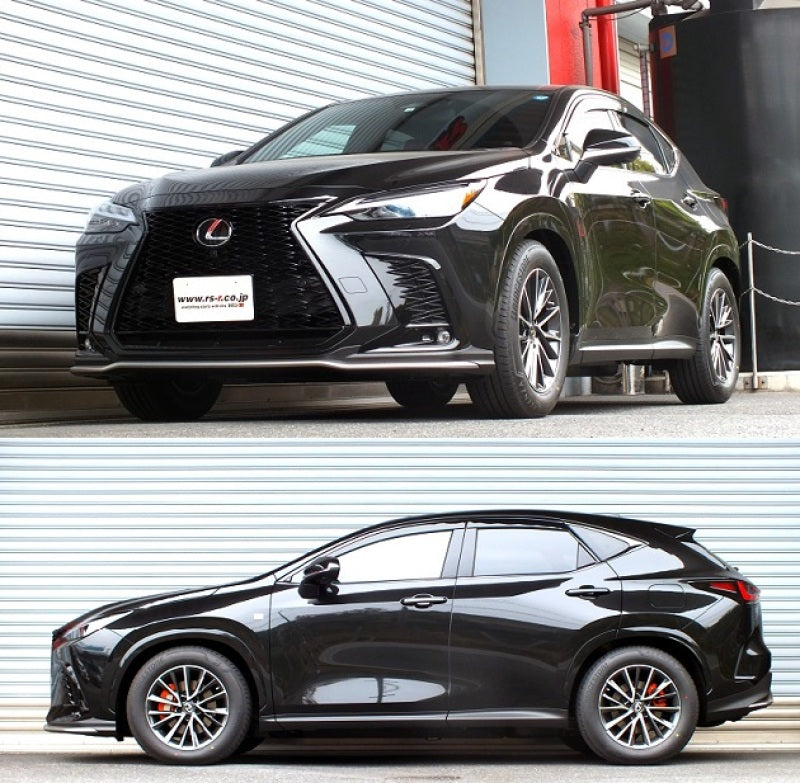 RS-R 2021+ Lexus NX450h+ / F-Sport (AAZH26) AWD Down Sus Springs