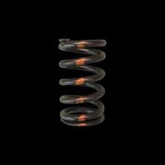 Brian Crower Set of Valve Springs | 2008 - 2015 Mitsubishi Evo X & 2010 - 2013 Hyundai Genesis Coupe (BC1130).