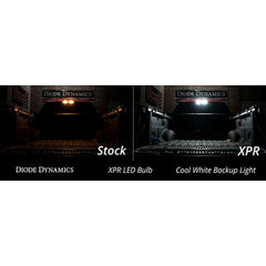 Diode Dynamics XPR LED Bulb (DD0394S).