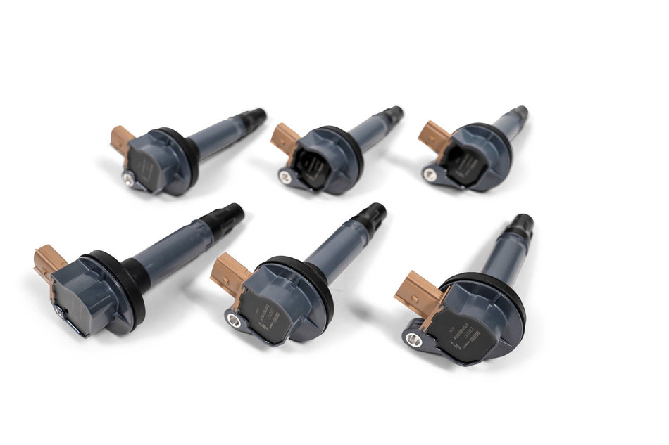 BorgWarner BERU 2012-2017 3.5L EcoBoost Ignition Coils - Sold Individually