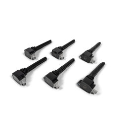 BorgWarner BERU 2018-2020 3.5L Ecoboost Ignition Coils - SOLD INDIVIDUALLY