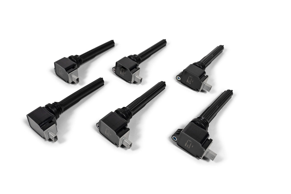 BorgWarner BERU 2018-2020 3.5L EcoBoost Ignition Coils - Sold Individually