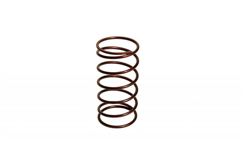 BorgWarner EFR Stiff Blow Off Valve Spring
