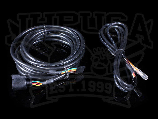 Grams Digital Wideband Air / Fuel Ratio Gauge
