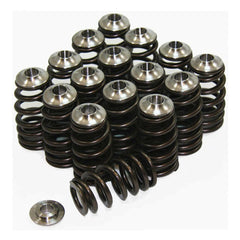 GSC Beehive Spring Set with Titanium Retainers | 2003-2006 Mitsubishi Evo 8/9 (5040).