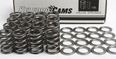 Kelford Single Valve Spring Set for Stage 2 Cams | 2008-2015 Mitsubishi Evo X (KVS11).