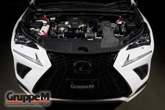 NX300 AGZ10/15 8AR-FTS 2.0L Turbo (2014-2021) FR-0132