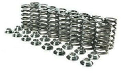 Manley Valve Springs and Titanium Retainers | 2003-2006 Mitsubishi Evo 8/9, and 1990-1999 Mitsubishi Eclipse/Eagle Talon/Plymouth Laser (26125).