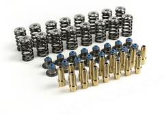 MAP Ecoboost Mustang Valvetrain Upgrade Kit | 2015-2019 Ford Mustang Ecoboost (MAP EBM-VTK).
