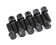 APR 40mm Lug Bolts Set of 10 for Audi, Volkswagen, Lamborghini, Porsche, Bentley