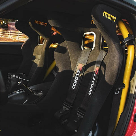 NextLevel Performance TrackArt 4pt. Bolt-On Roll Cage | 2023+ Nissan Z and 2009-2020 Nissan 370Z (TA-1000).