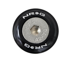 NRG Fender Washer Kit w/Rivets For Plastic - Set of 10 (FW-100).
