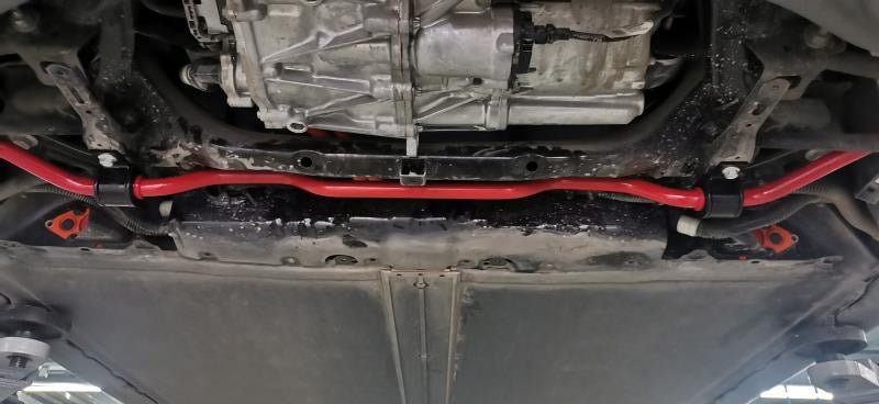 Precision Works Adjustable Sway Bars - Tesla Model 3.