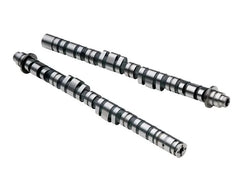 Skunk2 Tuner Series Camshafts Stage 1 Acura Integra | Honda Civic 1992-2001.
