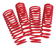 Skunk2 Lowering Springs Acura Integra 1994-2001.