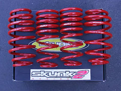 Skunk2 Lowering Springs Acura Integra 1994-2001.