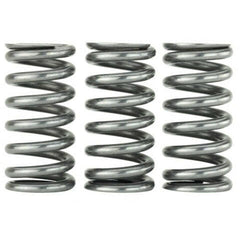 Skunk2 Racing Ultra Valve Springs and Spring Base Kit | 2016-2021 Honda Civic 1.5T (313-05-9400).