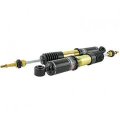 Skunk2 Racing Pro ST Coilovers | 2017-2020 Honda Civic Si (541-05-8780).