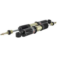 Skunk2 Racing Pro ST Coilovers | 2016-2021 Honda Civic Type R (541-05-8781).