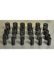 SSP Torque Damper Spring Rebuild Package | 2008-2015 Mitsubishi Lancer Evolution X MR (EVOX-TQDRP).