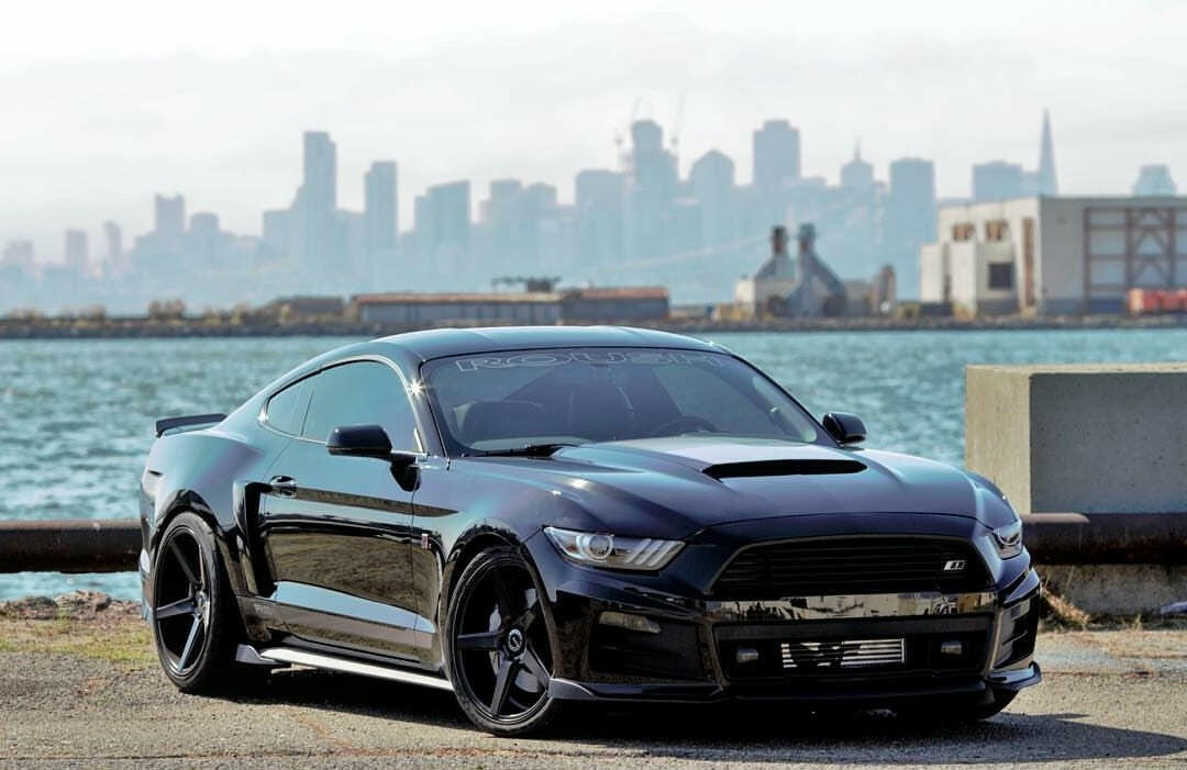 SpeedFactory Racing 600HP Dual Backdoor Intercooler | 2015-2022 Ford Mustang Ecoboost (SF-06-55-002).