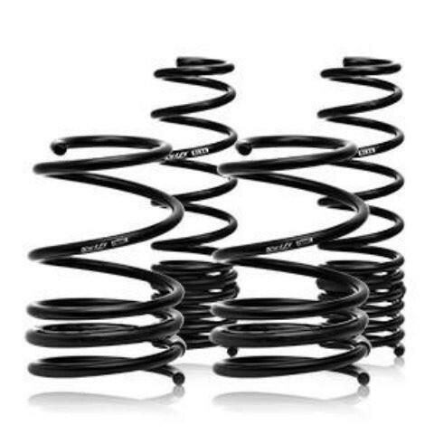 Swift Sport Springs SPEC-R | 2005-2006 Mitsubishi Evo 8/9 MR (4M017R).