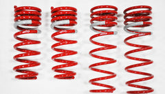 2003-2007 Nissan 350Z NF210 Springs by Tanabe (TNF063).
