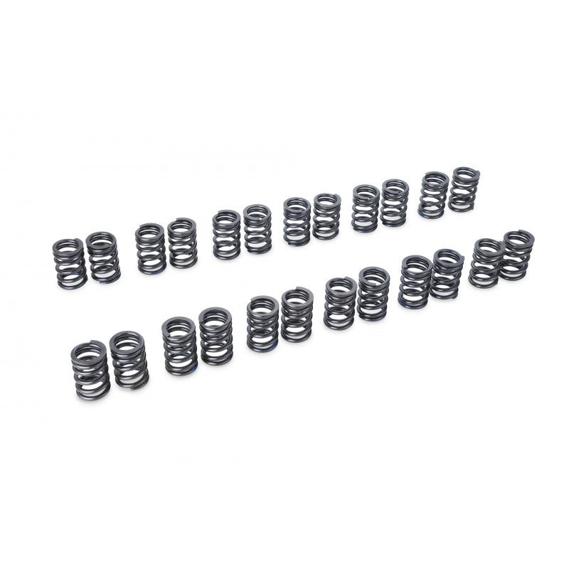 VALVE SPRING SET RB20DE(T)/VG30DE(TT)