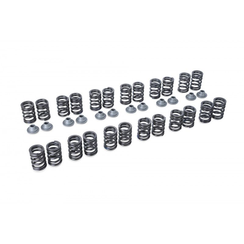 VALVE SPRING SET RB25DE(T) R33 TYPE-B