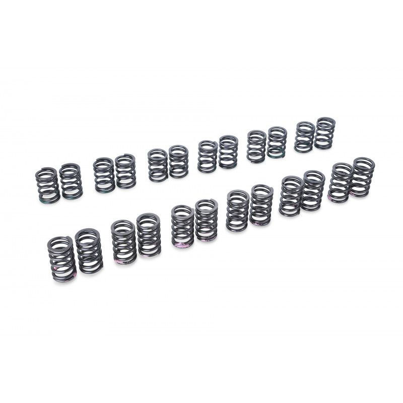 VALVE SPRING SET RB25DE(T) R33 TYPE-A