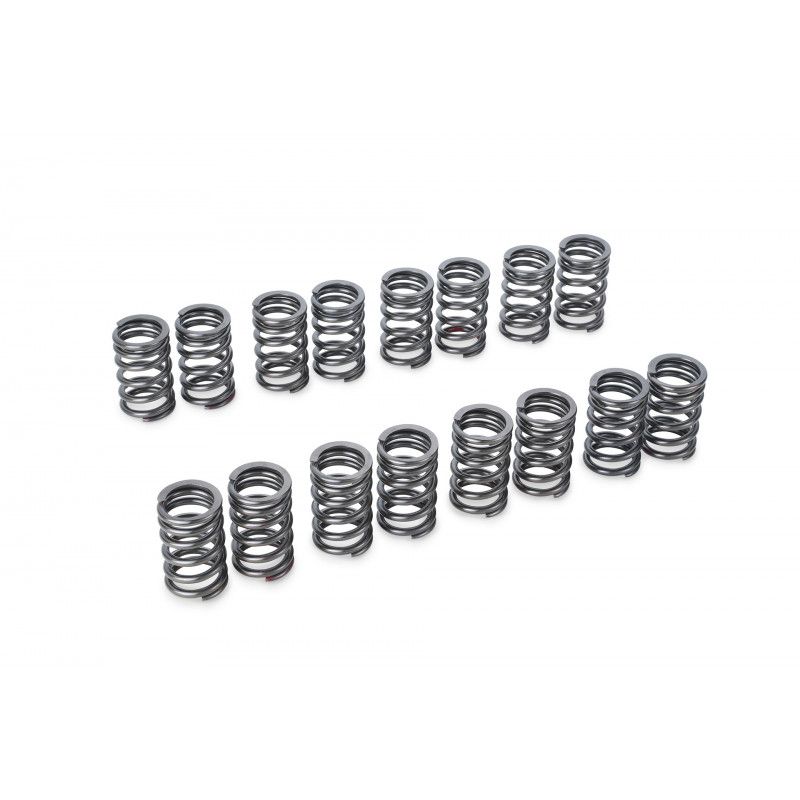 VALVE SPRING SET SR20DE(T)