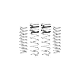 Eibach 2021-2023 Ford F150 Raptor Pro-Lift-Kit Springs.